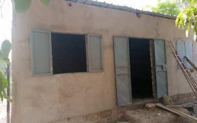 LAGERHAUS IM GARTENbauprojekt UND STRASSE WURDEN ERFOLGREICH REPARIERT