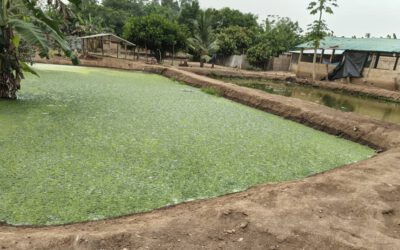 Tour durch Waisenhaus in Athiémé